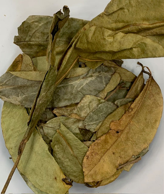 Soursop Leaves