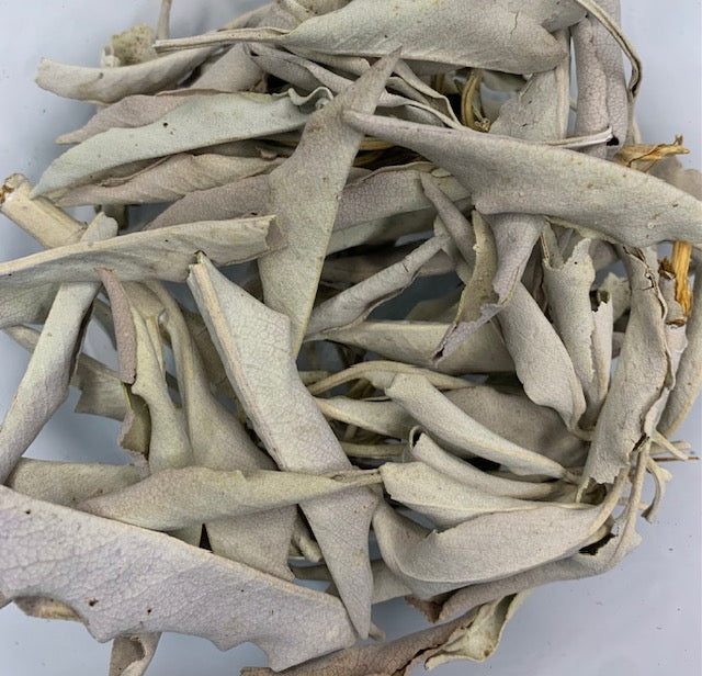 White Sage