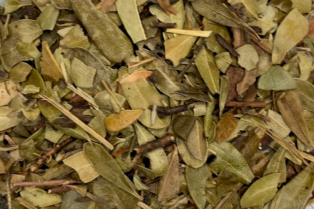 Whole Wild Crafted Uva Ursi Leaf