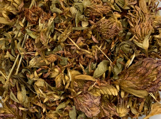 Organic Red Clover Tops