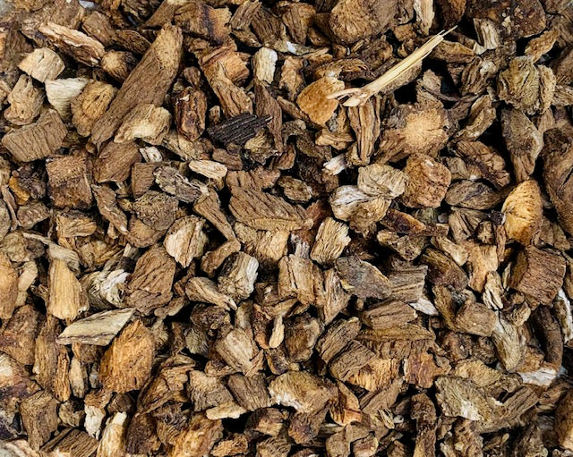 Burdock Root