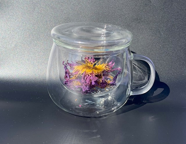 Clear Glass Tea Cup with Infuser and Lid, Borosilicate Large